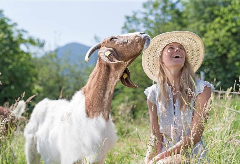 Moor&mehr Bio Kurhotel Bad Kohlgrub