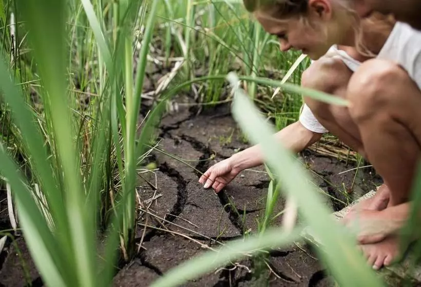 Moor&mehr Bio Kurhotel Bad Kohlgrub