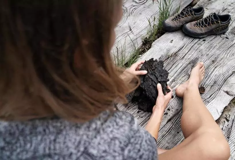 Moor&mehr Bio Kurhotel Bad Kohlgrub