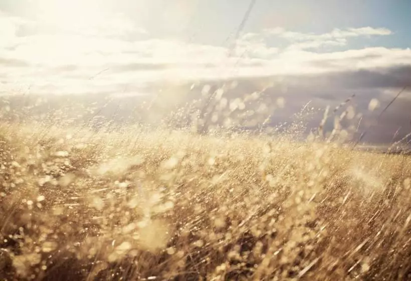 Moor&mehr Bio Kurhotel Bad Kohlgrub