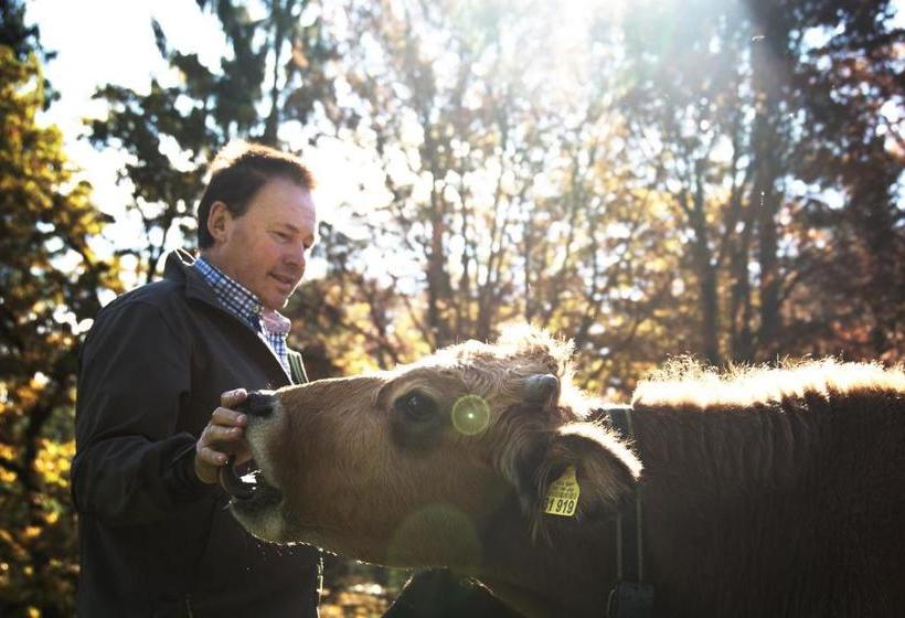 Moor&mehr Bio Kurhotel Bad Kohlgrub