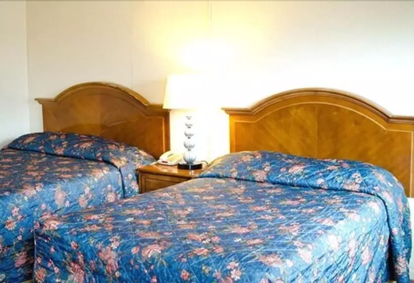 汽车旅馆 Lee High Inn