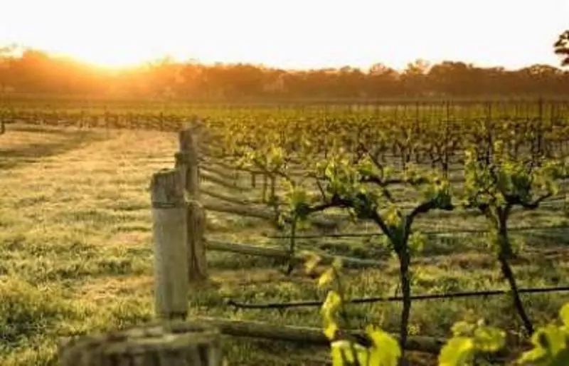 פנסיון Balgownie Estate Bendigo