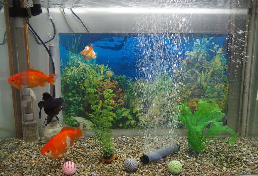 פנסיון Guest House Misakisou