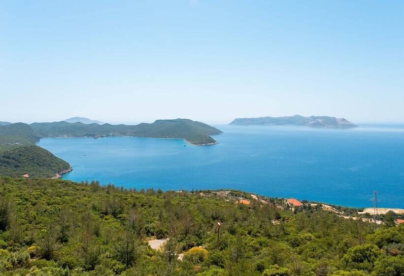 فندق Golden Rose Suit Pension