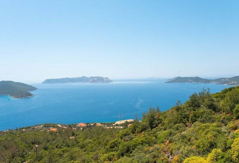 فندق Golden Rose Suit Pension