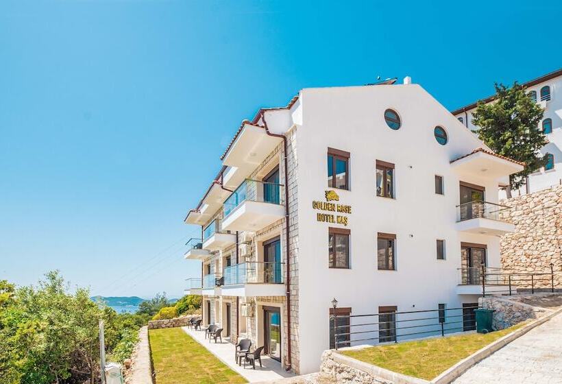 فندق Golden Rose Suit Pension