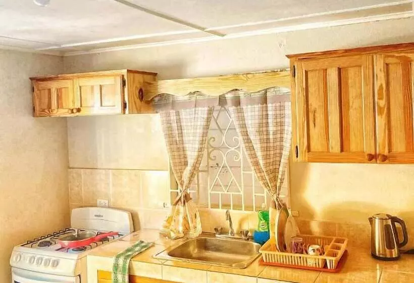 پانسیون Areca Palms