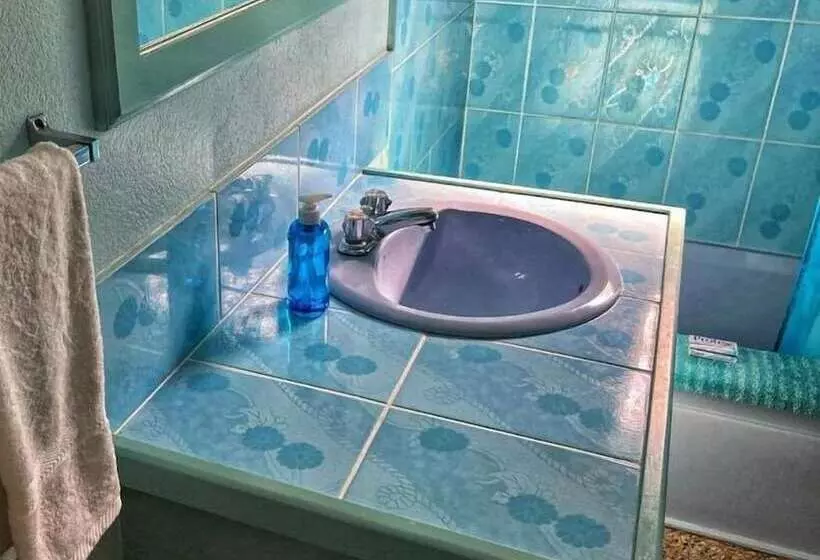 پانسیون Areca Palms