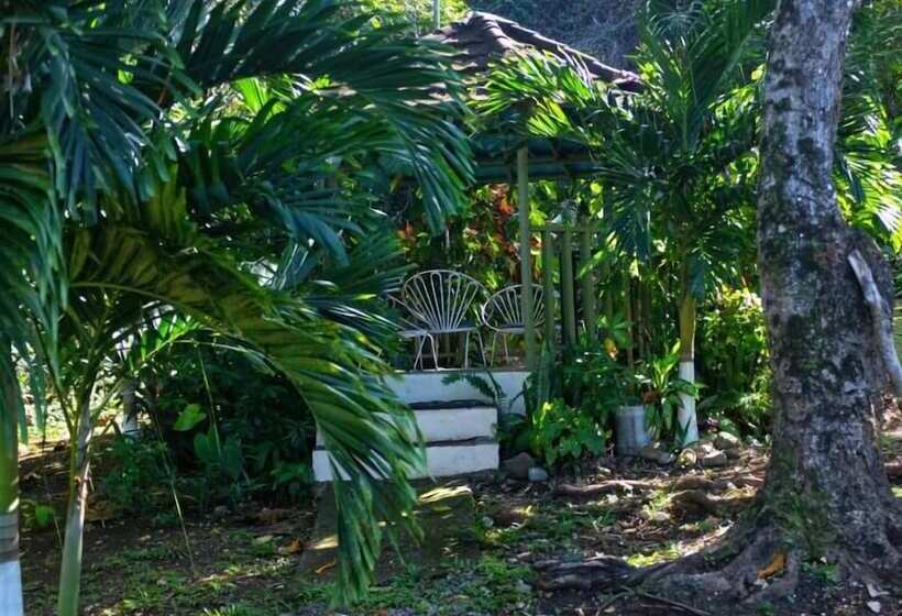 پانسیون Areca Palms