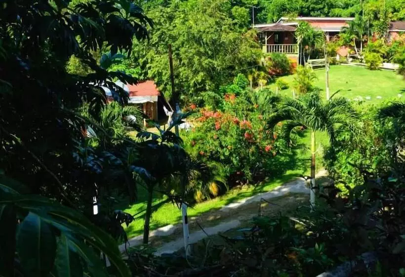 پانسیون Areca Palms