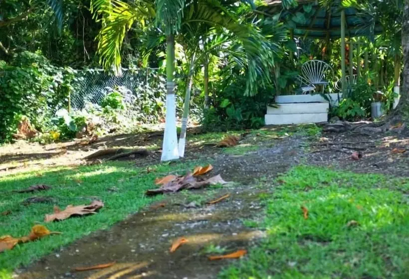 پانسیون Areca Palms