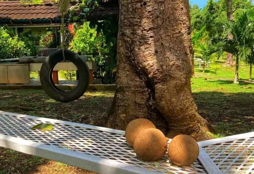 پانسیون Areca Palms