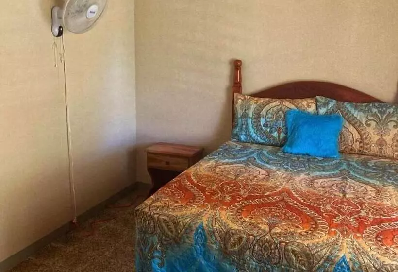 پانسیون Areca Palms