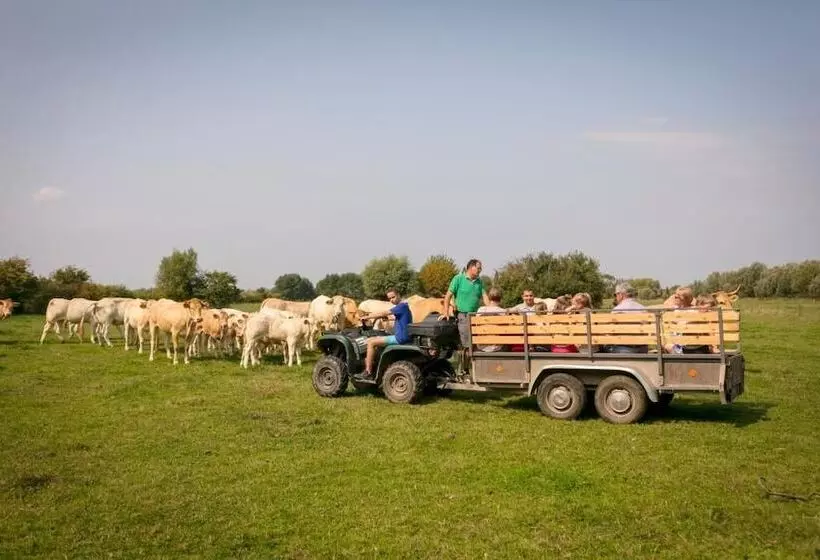 Hotelli B&b Schraevenacker