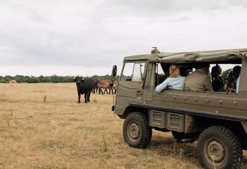 ホテル Fritton Lake   The Clubhouse