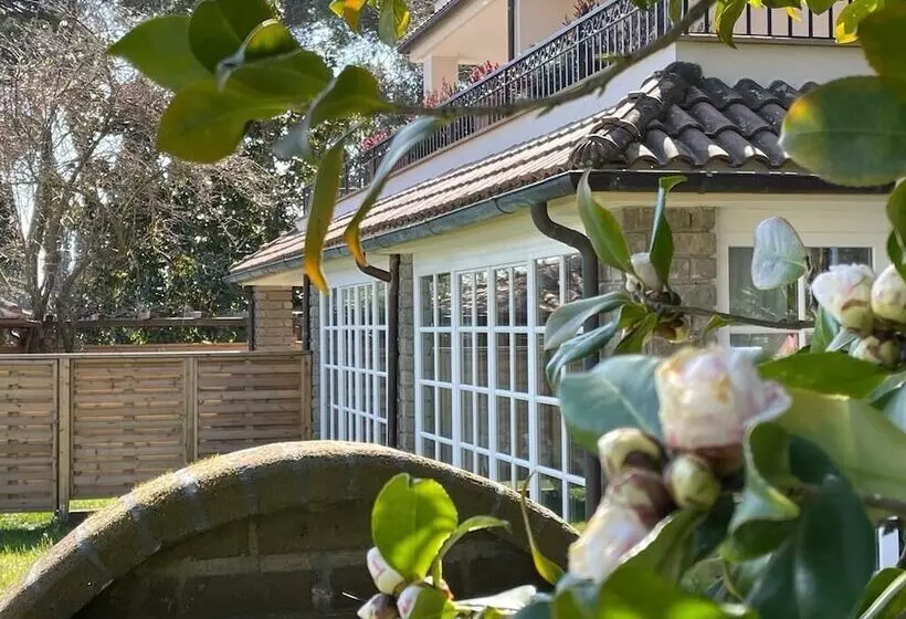 ペンション Poggio Delle Molare Adults Only Retreat