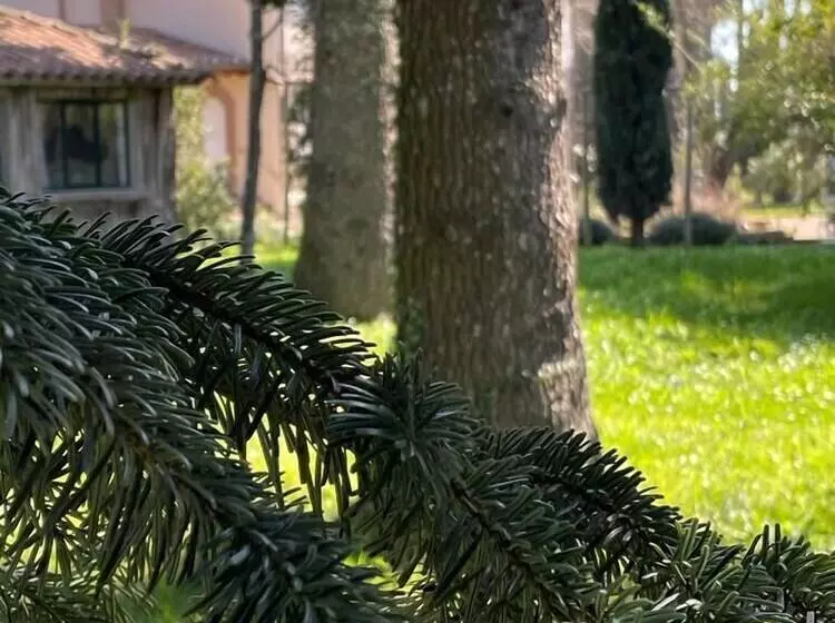 ペンション Poggio Delle Molare Adults Only Retreat