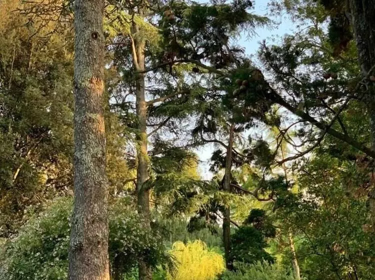 ペンション Poggio Delle Molare Adults Only Retreat