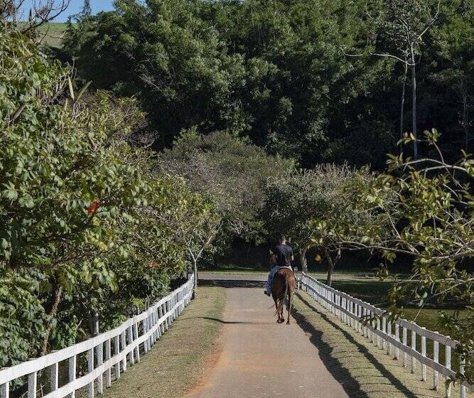 Отель Maison Terroir