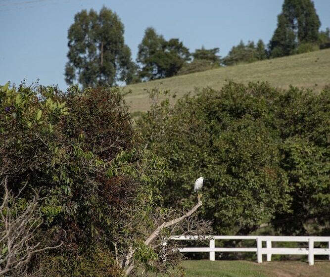 Отель Maison Terroir