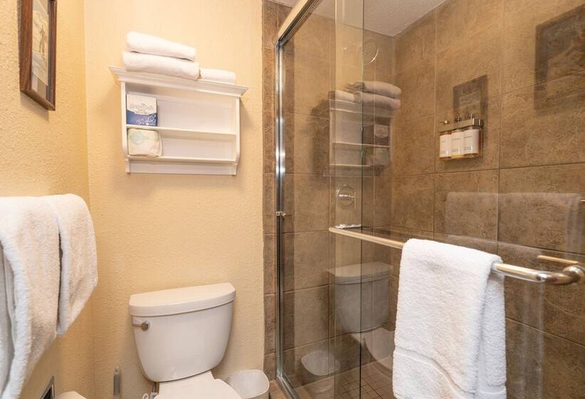 Manitou Lodge 10 By Alpine Lodging Telluride