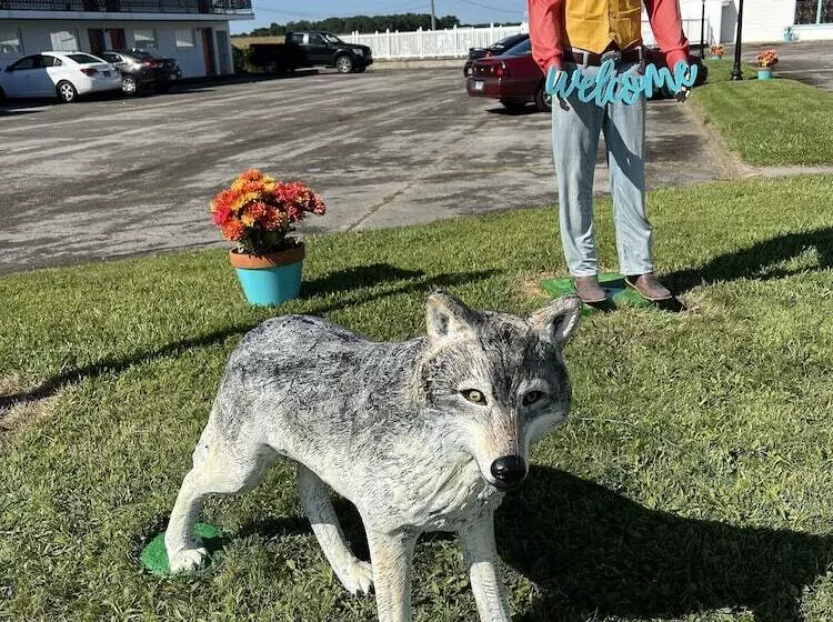 Motel Boutique By Wolf Inn