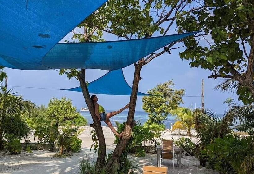 پانسیون Maamadi Boutique