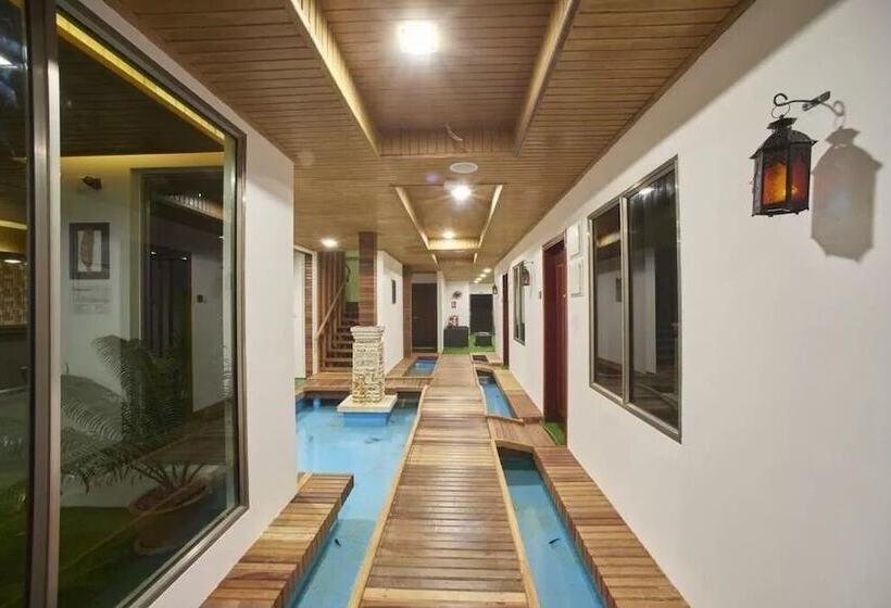 پانسیون Maamadi Boutique