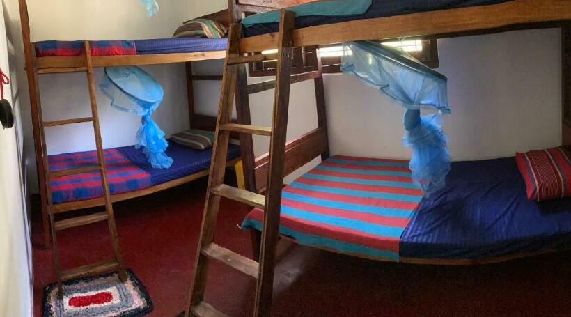 Hostel Singha Lounge