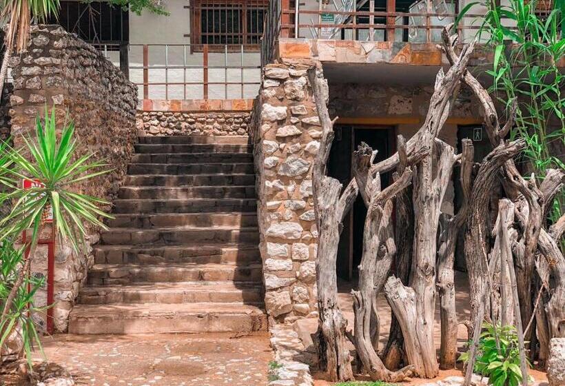 فندق Nkisi Guesthouse