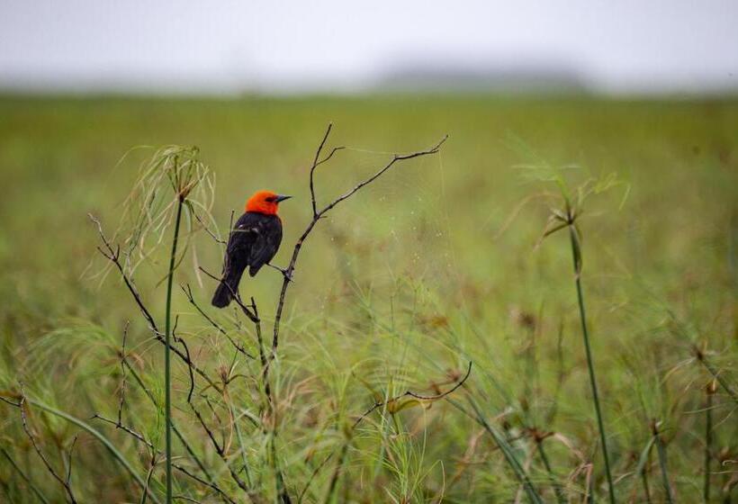 El Transito Hotel Boutique