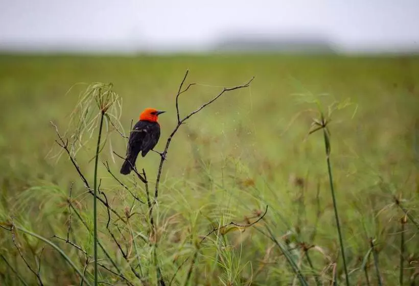 El Transito Hotel Boutique