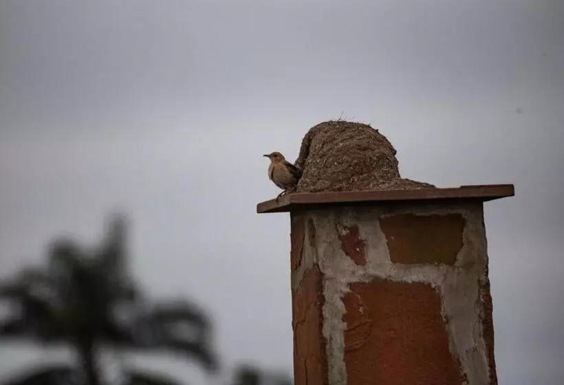 El Transito Hotel Boutique