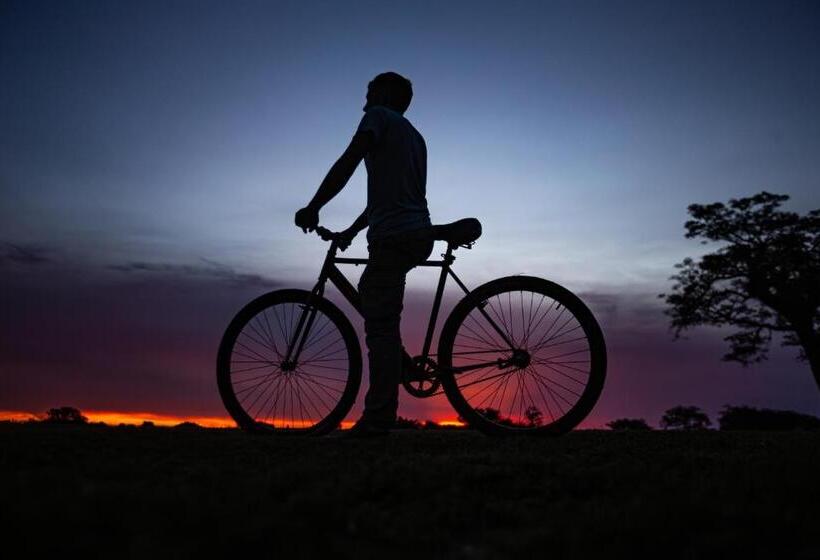 El Transito Hotel Boutique