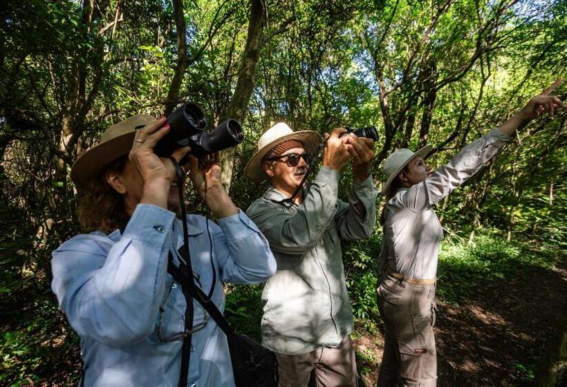 El Transito Hotel Boutique