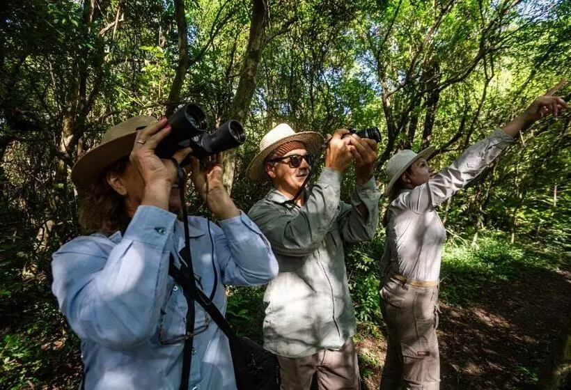 El Transito Hotel Boutique