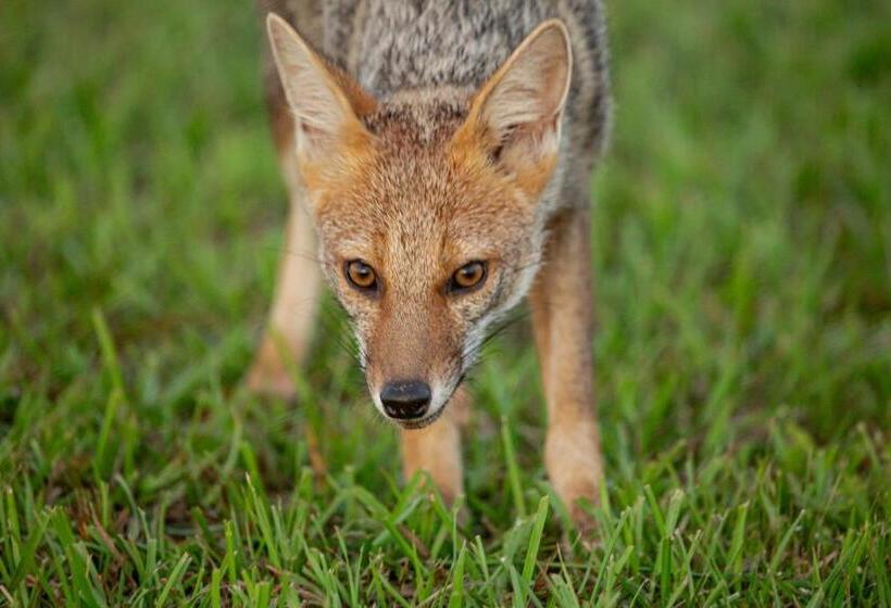 El Transito Hotel Boutique