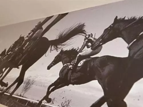 Retkeilymaja Crown & Horns