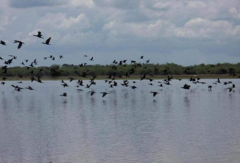 Becks Bed & Breakfast