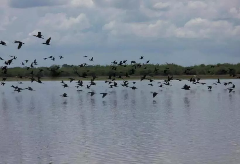 Becks Bed & Breakfast