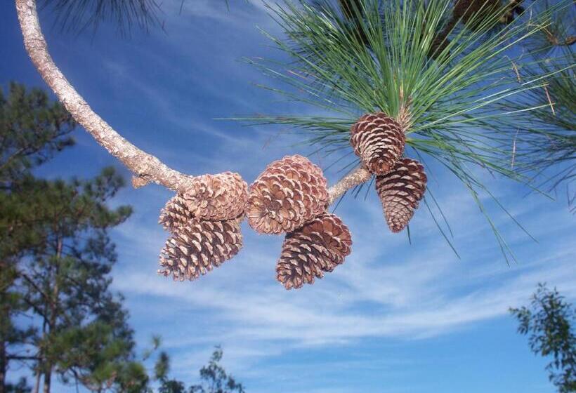 Becks Bed & Breakfast