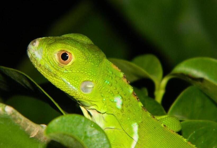 Becks Bed & Breakfast