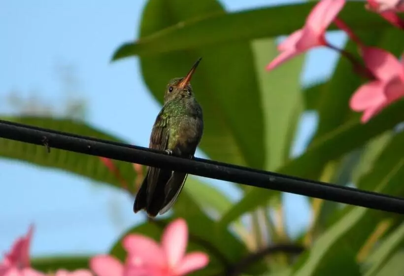 Becks Bed & Breakfast