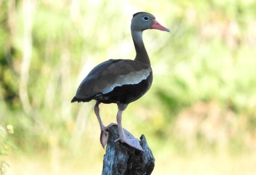 Becks Bed & Breakfast