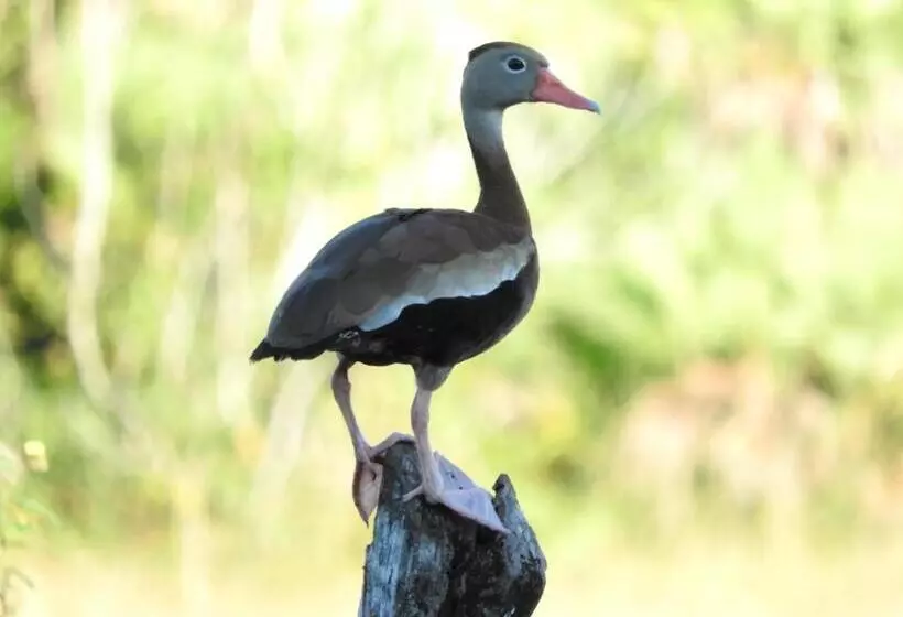 Becks Bed & Breakfast