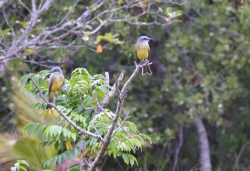 Becks Bed & Breakfast