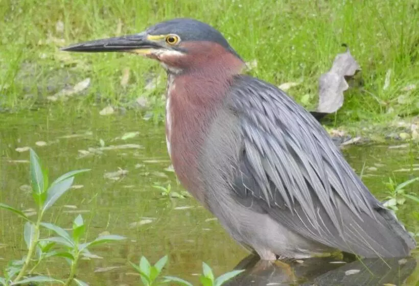 Becks Bed & Breakfast