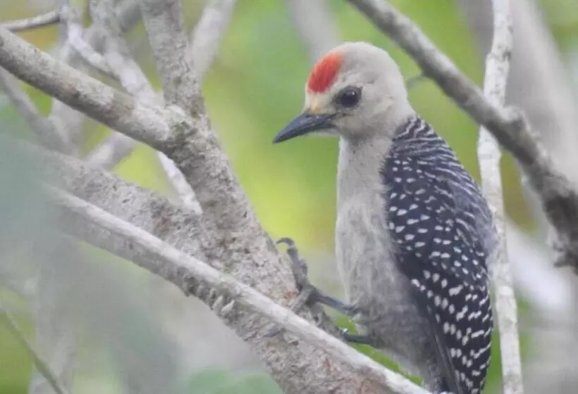 Becks Bed & Breakfast