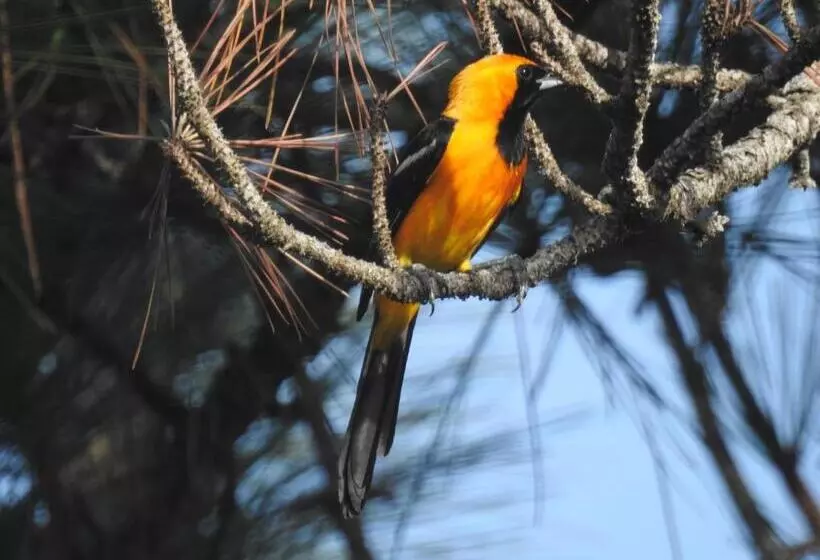 Becks Bed & Breakfast